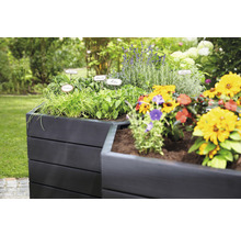 Hoge plantenbak met kruiden en bloemen in de tuin