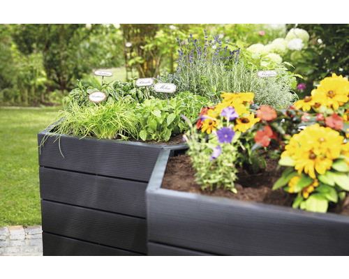 Hoge plantenbak met kruiden en bloemen in de tuin