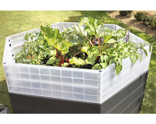 Verhoogde tuinbak met groenten en planten in de tuin