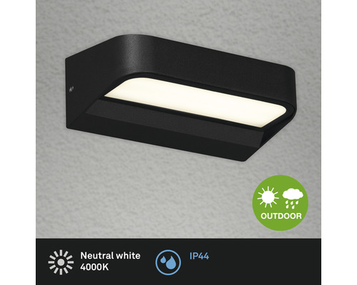 Zwarte buitenwandlamp met neutraal wit licht en beschermingsgraad IP44