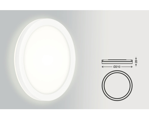Witte ronde LED plafondlamp met afmetingen