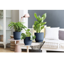 Decoratieve kamerplanten in gestructureerde bloempotten op bijzettafels in een lichte woonkamer.