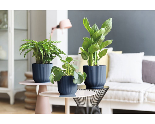 Decoratieve kamerplanten in gestructureerde bloempotten op bijzettafels in een lichte woonkamer.