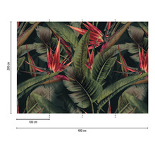 Fotobehang met paradijsvogelbloemen en bladeren, afmetingen 400 cm x 280 cm