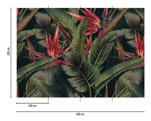 Fotobehang met paradijsvogelbloemen en bladeren, afmetingen 400 cm x 280 cm