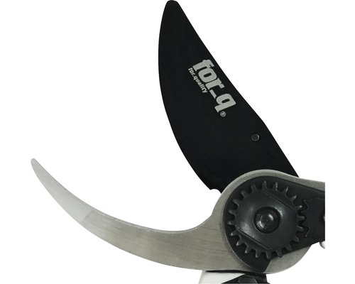 Open aambeeld-takkenschaar met For_q logo