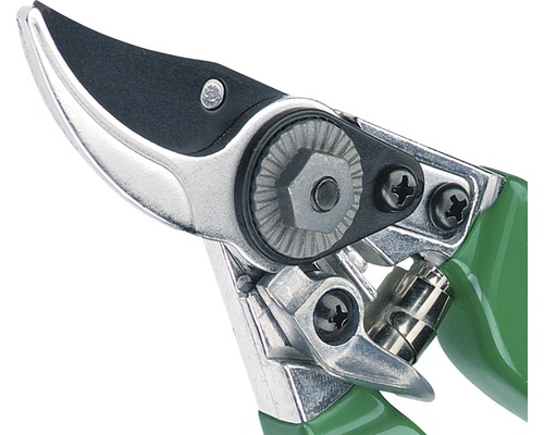 Detailopname van een tuinschaar met groene handgrepen en zilverkleurige messen