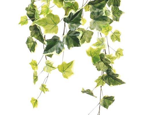 Kunstmatige klimop met groene bladeren als decoratie