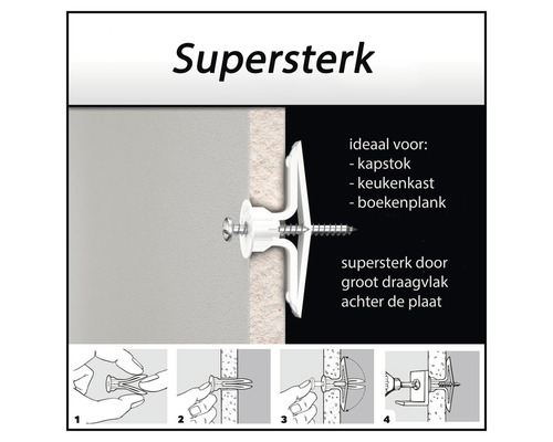 Hollewandplug met schroef voor bevestiging aan een wand