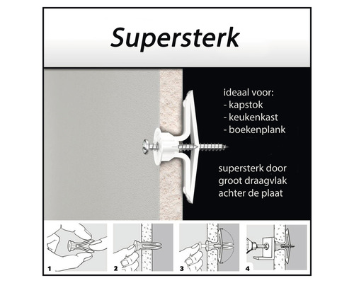 Afbeelding van een nylon plug met schroef voor bevestiging aan een muur.