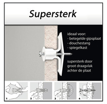 Gipsplaatplug met schroef en montage-instructies