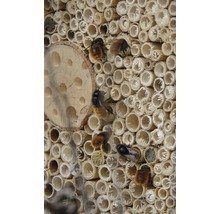 Insectenhotel met puntdak 19x9,5x22 cm-thumb-6
