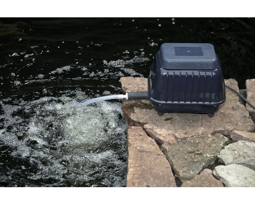 Vijverbeluchter aan de vijverrand met slang in het water voor zuurstoftoevoer