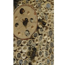 Insectenhotel met puntdak 19x9,5x22 cm-thumb-8