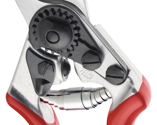 Detailopname van een tuinschaar met tandradmechanisme en veer
