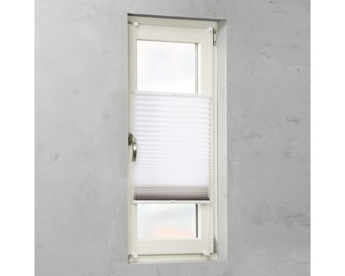 Raam met plisségordijn voor privacy