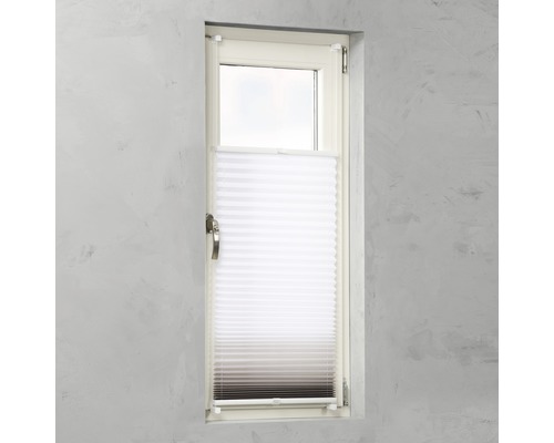 Raam met plisségordijn voor lichtregulering