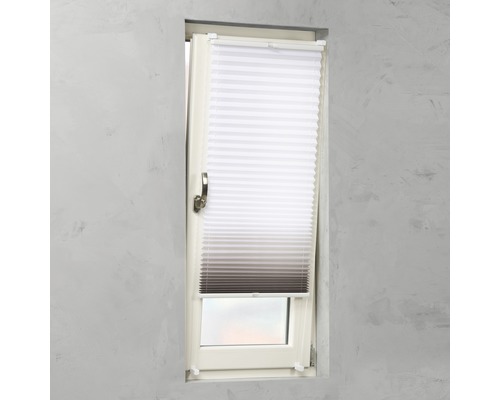 Raam met plisségordijn voor schaduw