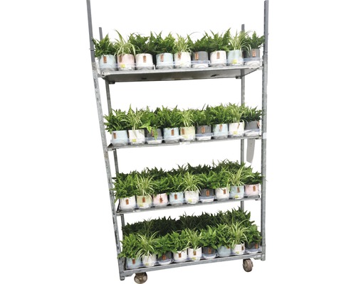 Verkoopwagen met kamerplanten in potten