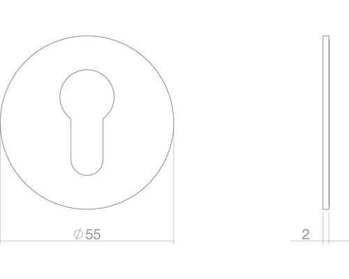 Technische tekening van een rozetprofielcilinder voor een deur met afmetingen van 55 millimeter diameter en 2 millimeter dikte.