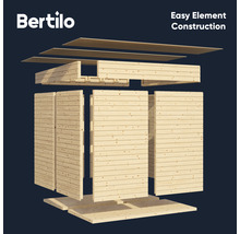 BERTILO Tuinhuis Design Concept incl. vloer onbehandeld, 297x237 cm