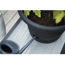 Detailopname van een plant in een pot met irrigatiesysteem en gieter