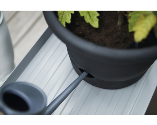 Detailopname van een plant in een pot met irrigatiesysteem en gieter