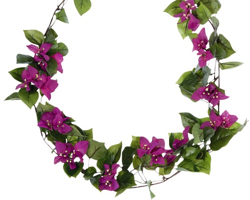 Bougainvillea slinger met bloemen en bladeren