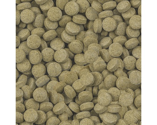 SERA Viformo Pleco Tabs Visvoer tabletten 100 ml