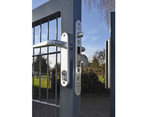 Poort met handgreep en slot van roestvast staal