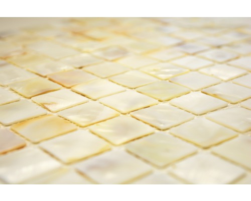 Vierkant mozaïek van parelmoer