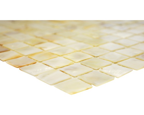 Vierkante mozaïektegel van parelmoer