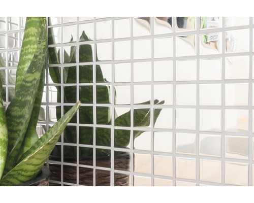 Wandtegels met spiegeluitstraling en kamerplant