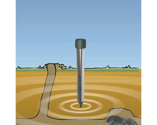 Afbeelding van een mollenverjager in gebruik om mollen in de tuin te bestrijden.