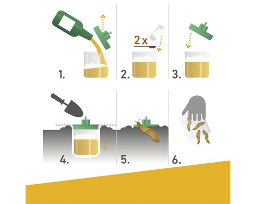 Instructies voor het maken van een slakkenval met bier en zout