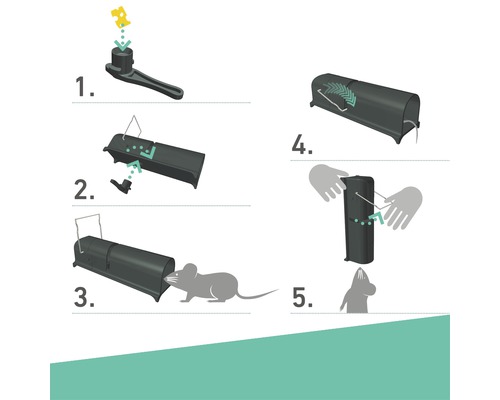 Instructies voor het gebruik van een muizenval in vijf stappen