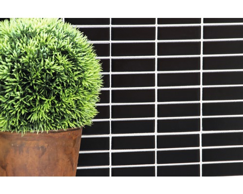 Zwarte mozaïektegels aan de wand met decoratie