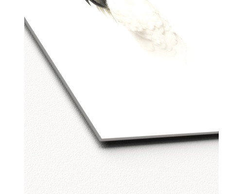 Decoratief bord met vogelmotief