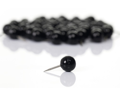 Punaises met kunststof kop