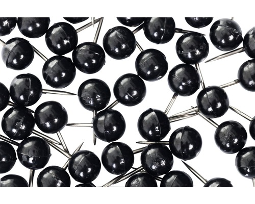 Punaises met ronde koppen