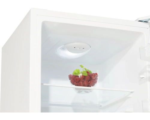 Interieur van een koelkast met een schaal frambozen op een glazen plank