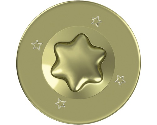 Schroefkop met Torx-aandrijving en sterren