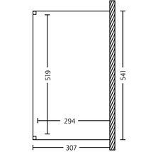 Technische tekening met afmetingen van een product, hoogte 541, breedte 307, diepte 294 en afstand 519.