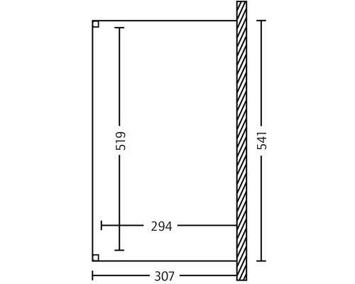Technische tekening met afmetingen van een product, hoogte 541, breedte 307, diepte 294 en afstand 519.