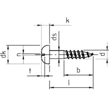 Technische tekening van een schroef met afmetingen