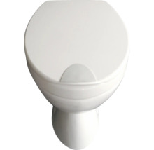 Wit staand toilet met gesloten deksel