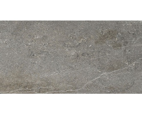 Wand- en vloertegel Dover beige-bruin 32x62,5 cm Grijze vloertegel met steenlook