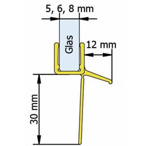 Technische tekening van een glasprofiel met maatvoering
