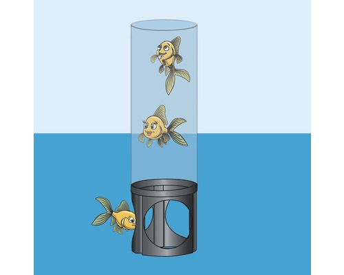 Illustratie van een cilindervormig aquarium met drie vissen