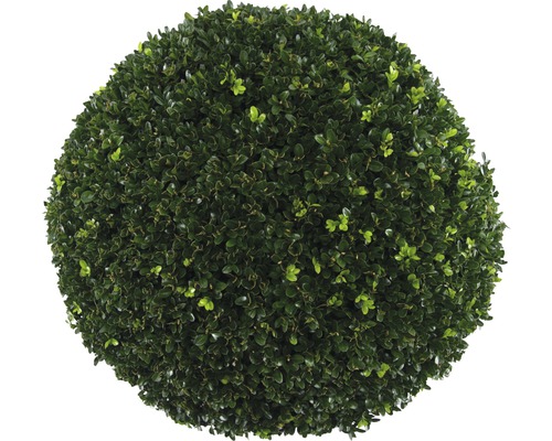 Kunst buxusbol voor de tuin